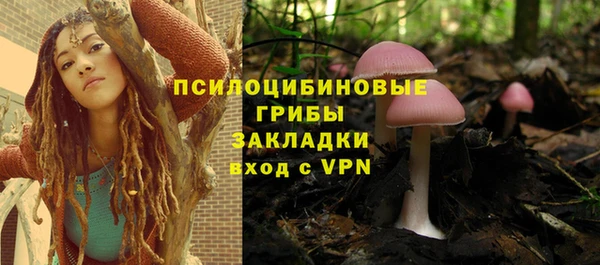 2c-b Алексин