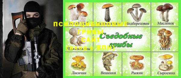 2c-b Алексин