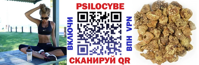 Галлюциногенные грибы мицелий  купить  сайты  Петровск-Забайкальский 